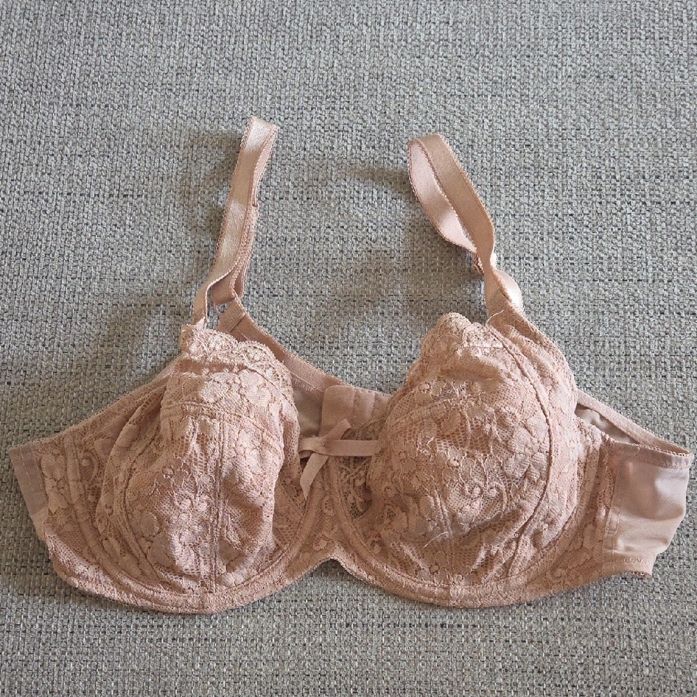 Pour Moi 38D Elegant Lace Underwire Bra - Blush